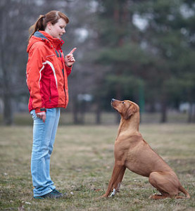 6eab82_09a10ab2fa91987e3cf6d3d35c41d8e3.jpg_srz_p_296_321_75_22_0.50_1.20_0