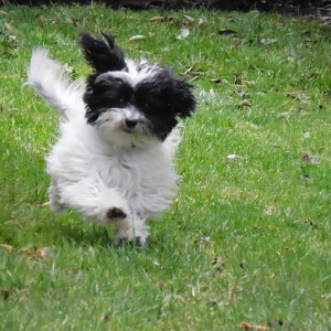 6eab82_aaf6ae26a5fe4426a7c30faebd5a5648.jpg_srz_p_441_441_75_22_0.50_1.20_0