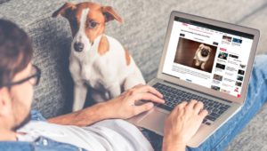 hotel canino CDMX
