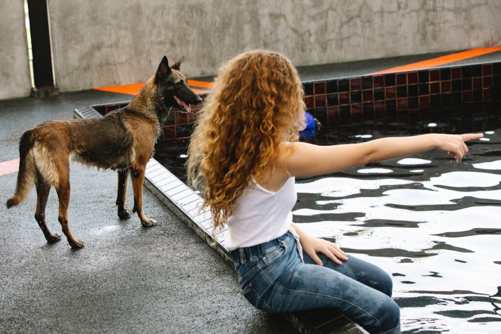 hotel para perros CDMX