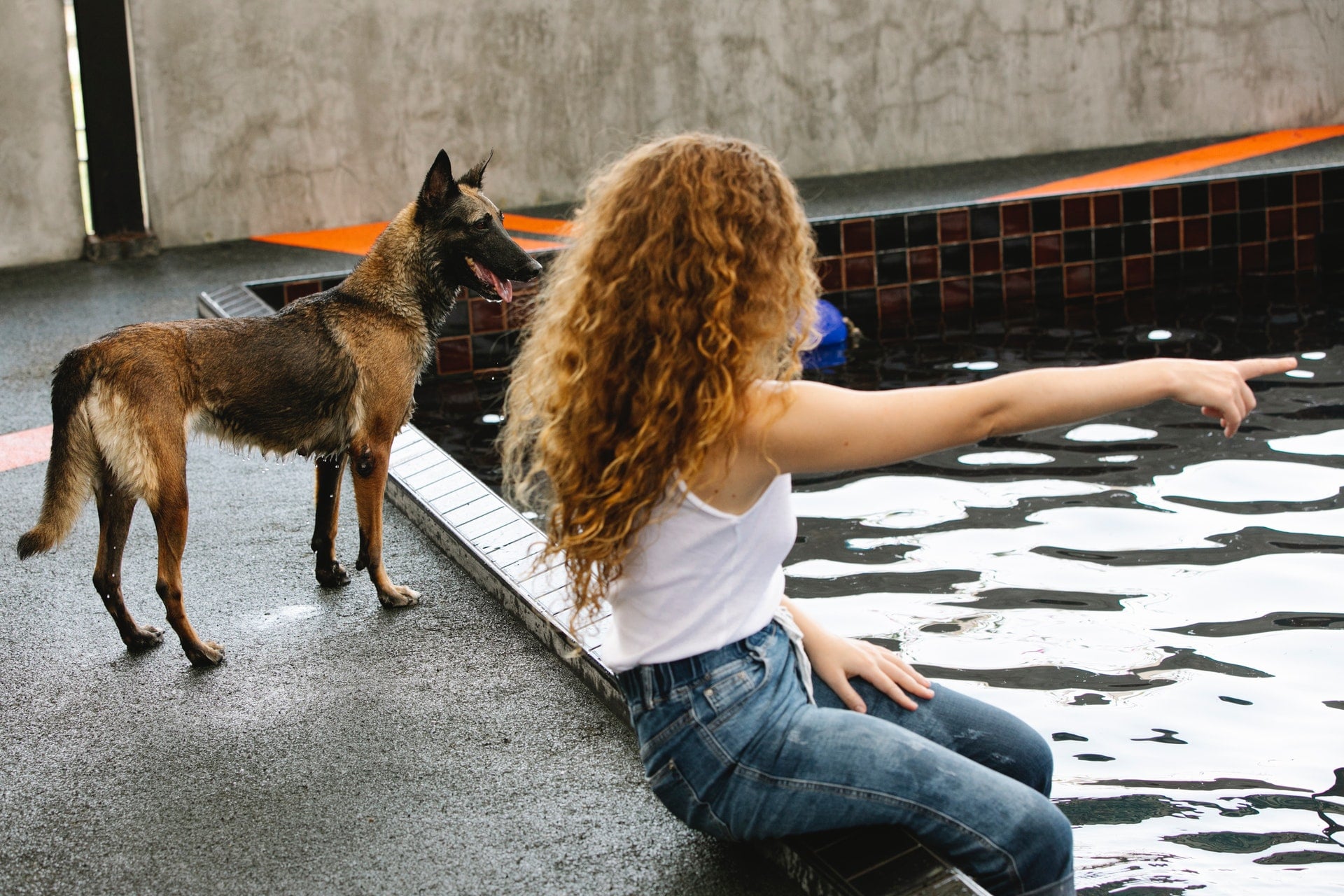 hotel para perros CDMX