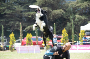entrenamiento