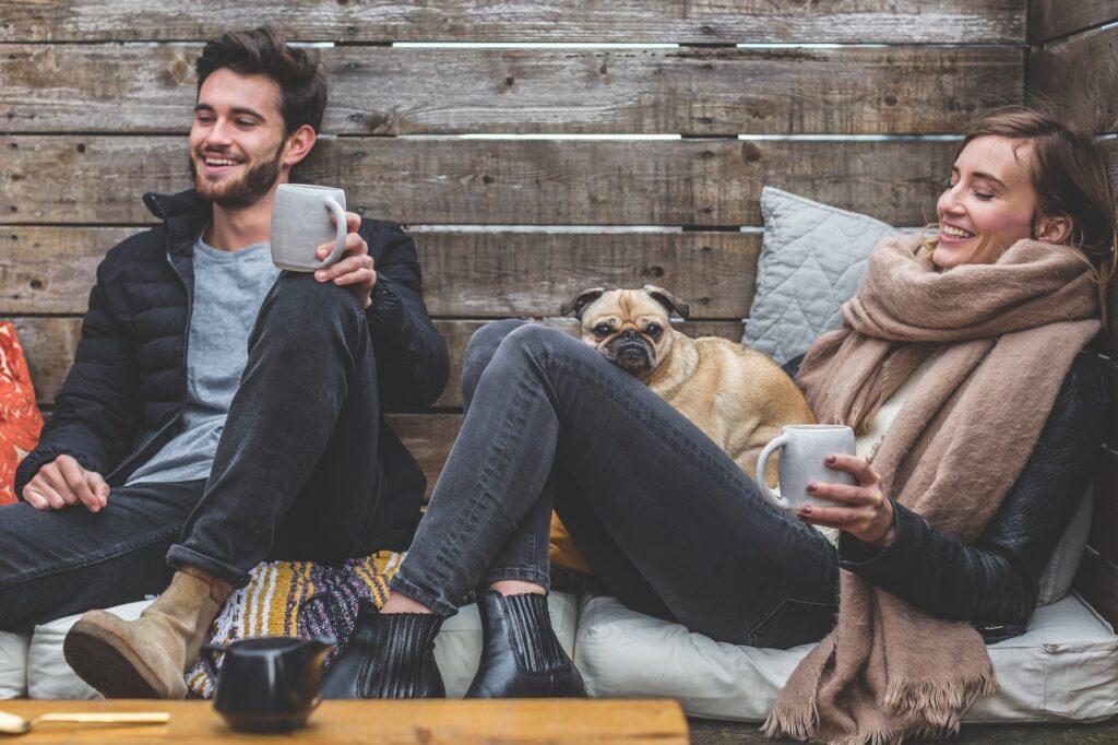 hotel para perros en CDMX