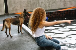 hotel para perros CDMX